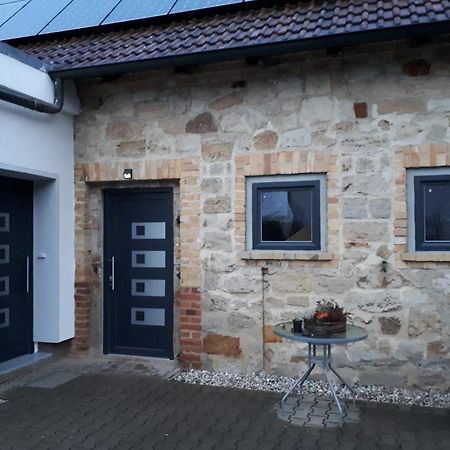 Ferienwohnung Gaensebluemchen Wartenburg Bagian luar foto